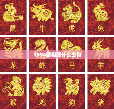 94年生肖|1994年属什么生肖 1994年出生的生肖是什么命